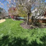 How to Mulch Around Trees the Right Way in a Hampton Roads Yard