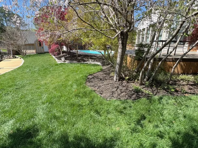 Mulch Installation 4