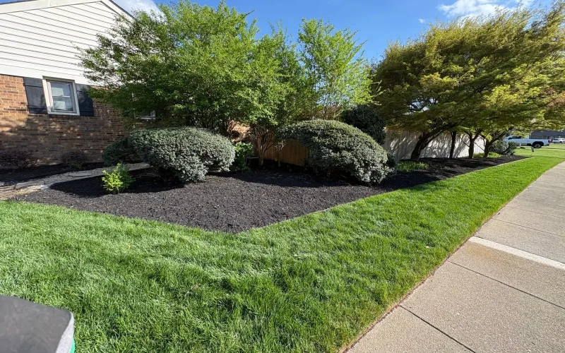 Mulch Installation 7