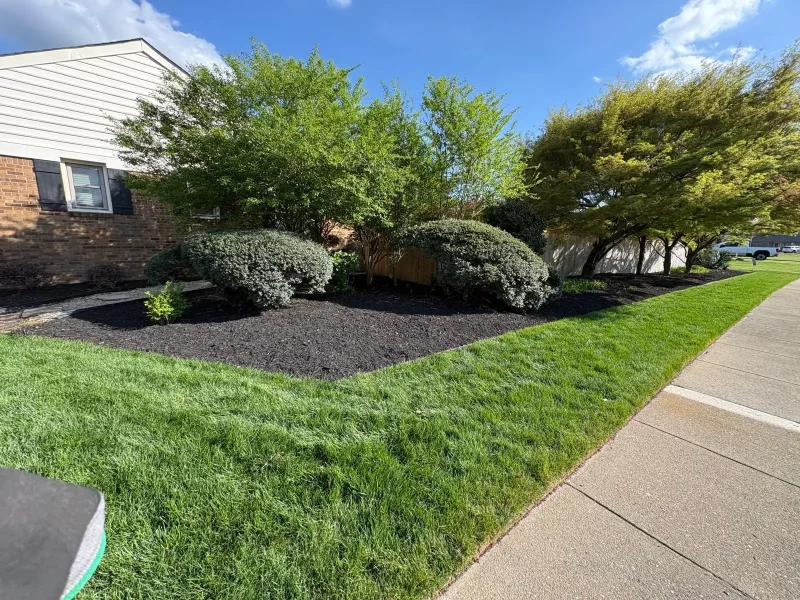 Mulch Installation 7