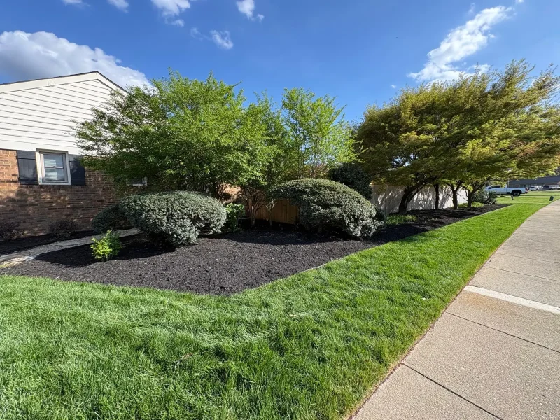 Mulch Installation 8