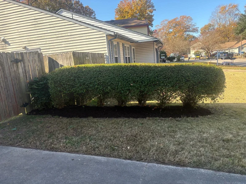 Shrub Trimming (17)