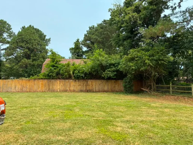 Shrub Trimming (5)