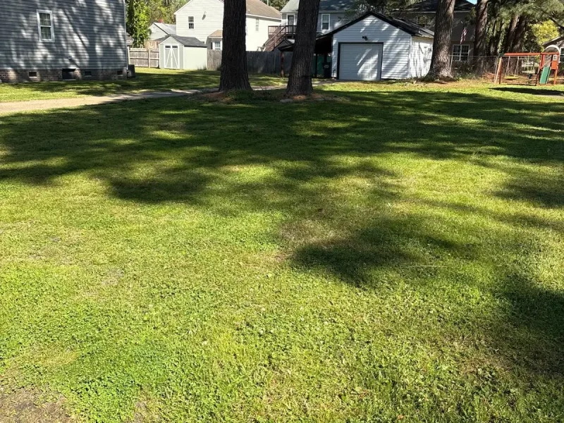 Yard BML (2)