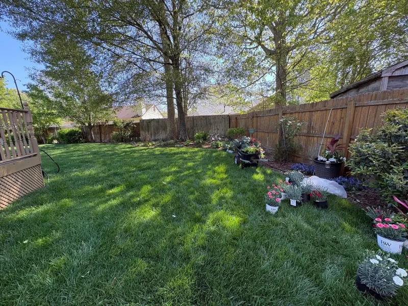 Yard BML (3)