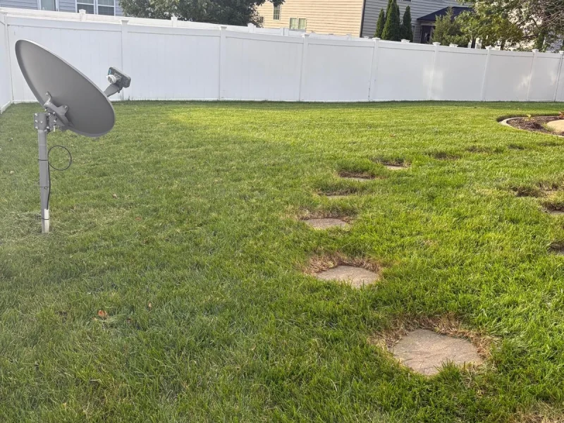 Yard Maintenance (11)