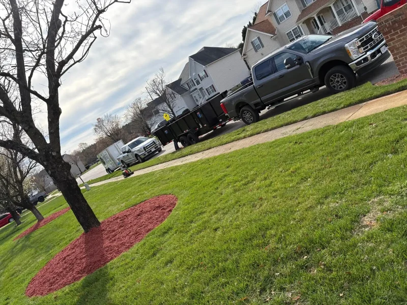 Yard Maintenance 2