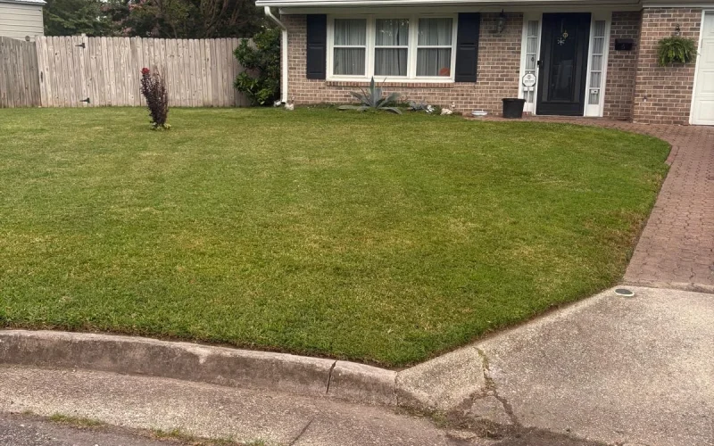 Yard Maintenance (8)